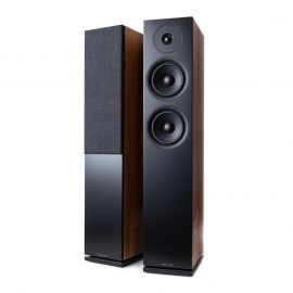 Argon Audio Forus 55 - Orech